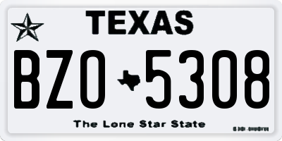 TX license plate BZO5308