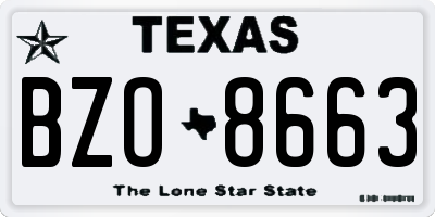 TX license plate BZO8663