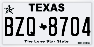 TX license plate BZQ8704
