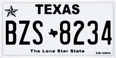 TX license plate BZS8234