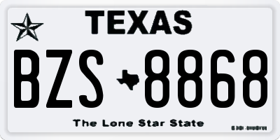 TX license plate BZS8868