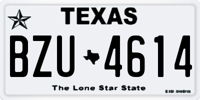 TX license plate BZU4614
