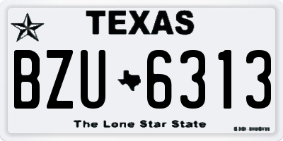 TX license plate BZU6313