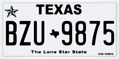 TX license plate BZU9875