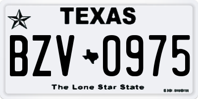 TX license plate BZV0975