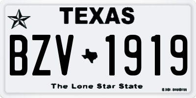 TX license plate BZV1919