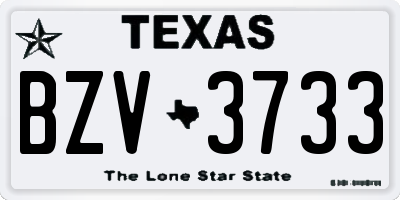 TX license plate BZV3733