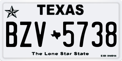 TX license plate BZV5738