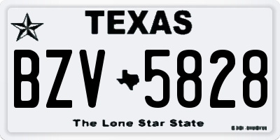 TX license plate BZV5828