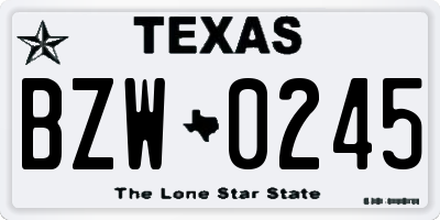 TX license plate BZW0245