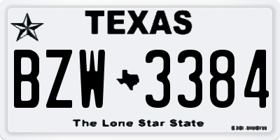TX license plate BZW3384
