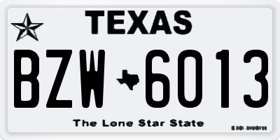 TX license plate BZW6013