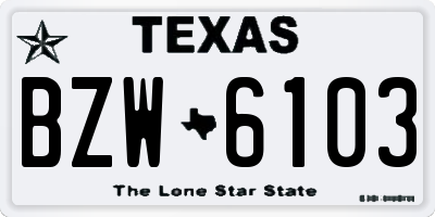 TX license plate BZW6103