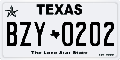 TX license plate BZY0202