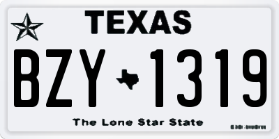 TX license plate BZY1319