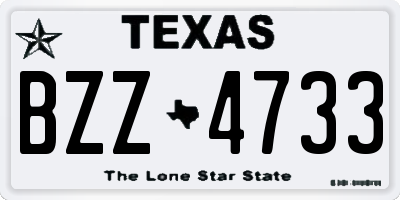 TX license plate BZZ4733