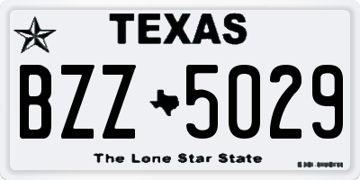 TX license plate BZZ5029
