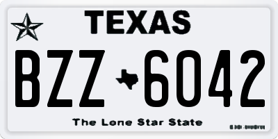TX license plate BZZ6042