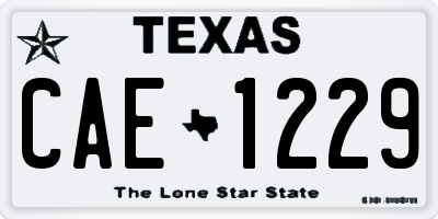 TX license plate CAE1229