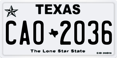 TX license plate CAO2036
