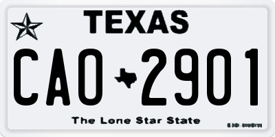 TX license plate CAO2901