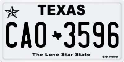 TX license plate CAO3596