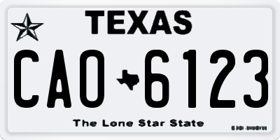 TX license plate CAO6123