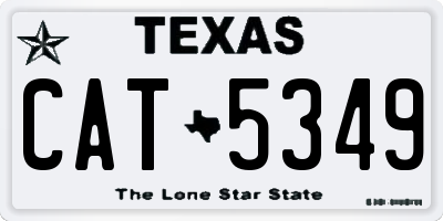 TX license plate CAT5349