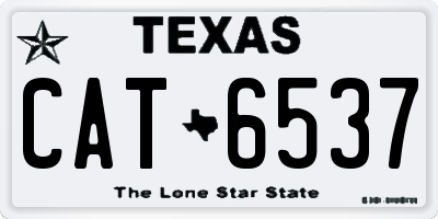 TX license plate CAT6537
