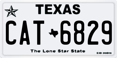 TX license plate CAT6829