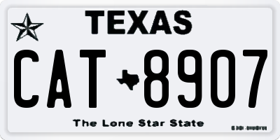 TX license plate CAT8907