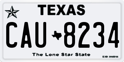 TX license plate CAU8234