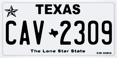 TX license plate CAV2309