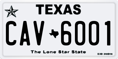 TX license plate CAV6001