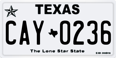 TX license plate CAY0236