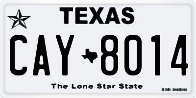 TX license plate CAY8014