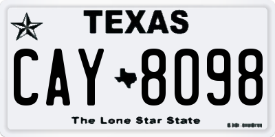 TX license plate CAY8098