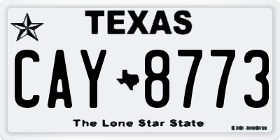 TX license plate CAY8773