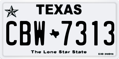 TX license plate CBW7313