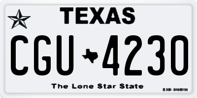 TX license plate CGU4230