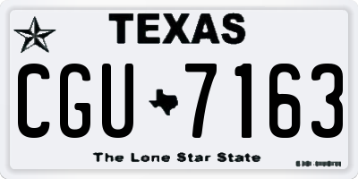 TX license plate CGU7163