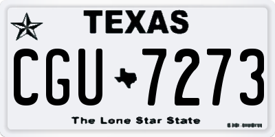 TX license plate CGU7273