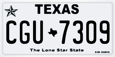 TX license plate CGU7309
