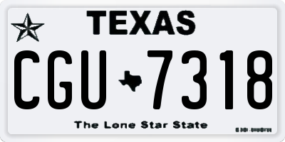 TX license plate CGU7318
