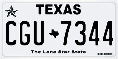 TX license plate CGU7344