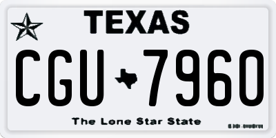 TX license plate CGU7960