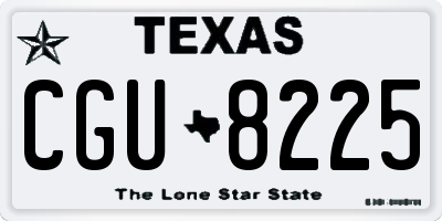 TX license plate CGU8225