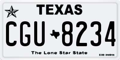 TX license plate CGU8234
