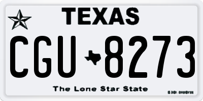 TX license plate CGU8273
