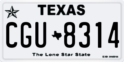 TX license plate CGU8314